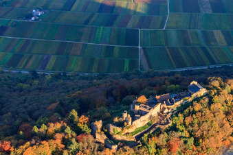Burgruine Madenburg im herblist gefärbtem Wald in Eschbach im Bundesland Rheinland-Pfalz, Deutschland von oben