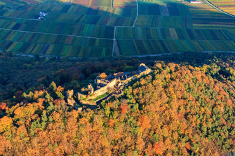 Burgruine Madenburg im herblist gefärbtem Wald in Eschbach im Bundesland Rheinland-Pfalz, Deutschland aus der Luft