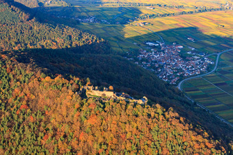Burgruine Madenburg im herblist gefärbtem Wald in Eschbach im Bundesland Rheinland-Pfalz, Deutschland vom Flugzeug aus