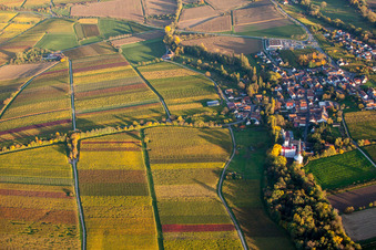 Schrägluftbild von Ortsteil Appenhofen in Billigheim-Ingenheim im Bundesland Rheinland-Pfalz, Deutschland