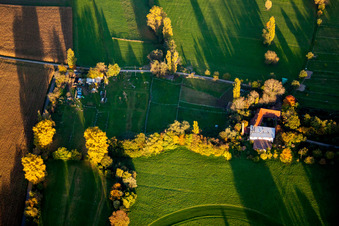 Schrägluftbild von Ortsteil Billigheim in Billigheim-Ingenheim im Bundesland Rheinland-Pfalz, Deutschland