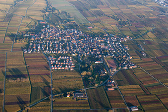 Luftbild von Ortsansicht der Straßen und Häuser der Wohngebiete im Ortsteil Nußdorf in Landau in der Pfalz im Bundesland Rheinland-Pfalz, Deutschland