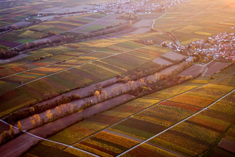 Strukturen auf landwirtschaftlichen Feldern im Ortsteil Wollmesheim in Landau in der Pfalz im Bundesland Rheinland-Pfalz, Deutschland
