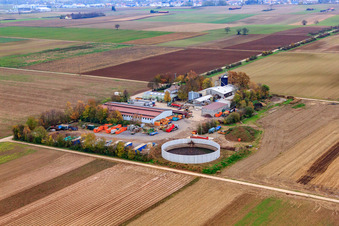 Schrägluftbild von Gärtner - Dienstleistungen, Containerdienst, Entsorgung, Abbruch und Transporte in Bellheim im Bundesland Rheinland-Pfalz, Deutschland