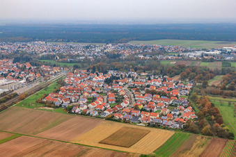Robert-Kochs-Straße in Bellheim im Bundesland Rheinland-Pfalz, Deutschland