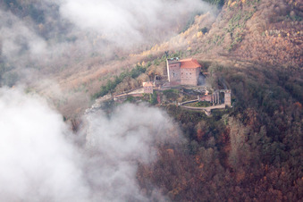 Luftbild von Vom Wald umgebende Burganlage der Reichsburg Trifels im Nebel in Annweiler am Trifels im Bundesland Rheinland-Pfalz, Deutschland