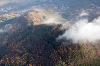 Hohenberg in Annweiler am Trifels im Bundesland Rheinland-Pfalz, Deutschland