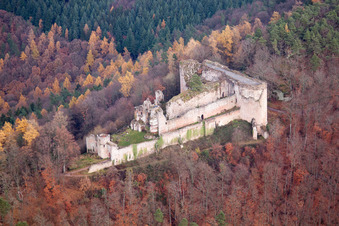 Ruine und Mauerreste der ehemaligen Burganlage und Feste Burg Neuscharfeneck in Dernbach im Bundesland Rheinland-Pfalz, Deutschland