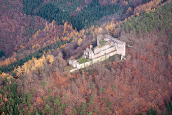 Ruine und Mauerreste der ehemaligen Burganlage und Feste Burg Neuscharfeneck im herbstlich bunten Wald in Flemlingen im Bundesland Rheinland-Pfalz, Deutschland