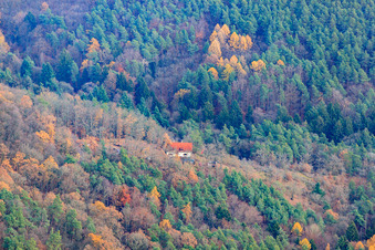 Luftaufnahme von Naturfreundehaus Kiesbuckel in Frankweiler im Bundesland Rheinland-Pfalz, Deutschland