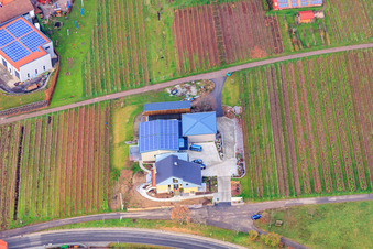 Weingut Gies-Düppel in Birkweiler im Bundesland Rheinland-Pfalz, Deutschland