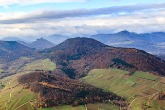 Hohenberg im Pfälzerwald in Birkweiler im Bundesland Rheinland-Pfalz, Deutschland