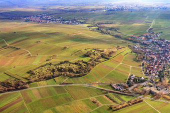 Naturschutzgebiet Kleine Kalmit im Winter von Norden im Ortsteil Arzheim in Landau in der Pfalz im Bundesland Rheinland-Pfalz, Deutschland