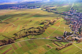 Luftbild von Naturschutzgebiet Kleine Kalmit im Winter von Norden im Ortsteil Arzheim in Landau in der Pfalz im Bundesland Rheinland-Pfalz, Deutschland