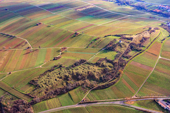 Luftaufnahme von Naturschutzgebiet Kleine Kalmit im Winter von Norden im Ortsteil Arzheim in Landau in der Pfalz im Bundesland Rheinland-Pfalz, Deutschland