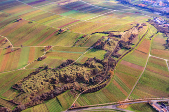 Schrägluftbild von Naturschutzgebiet Kleine Kalmit im Winter von Norden im Ortsteil Arzheim in Landau in der Pfalz im Bundesland Rheinland-Pfalz, Deutschland