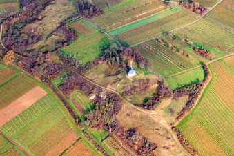Luftaufnahme von Kapelle "Kleine Kalmit" im Naturschutzgebiet Kleine Kalmit im Winter von Norden im Ortsteil Arzheim in Landau in der Pfalz im Bundesland Rheinland-Pfalz, Deutschland