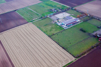 Drohnenaufname von Ottersheim bei Landau im Bundesland Rheinland-Pfalz, Deutschland