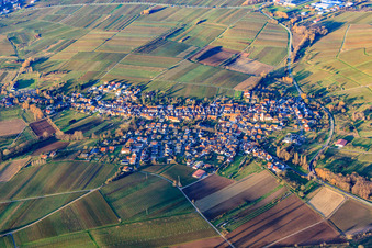 Winzerdorf im Winter zwischen kahlen Weinbergen aus Süden in Göcklingen im Bundesland Rheinland-Pfalz, Deutschland