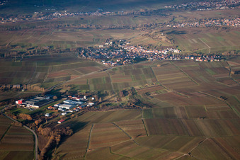 Ilbesheim bei Landau im Bundesland Rheinland-Pfalz, Deutschland von oben