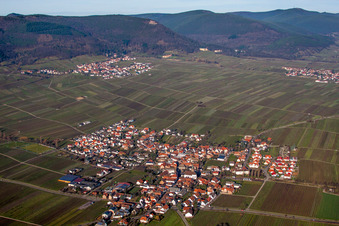Luftaufnahme von Dorf - Ansicht am Rande von Weinbergen in Hainfeld im Bundesland Rheinland-Pfalz, Deutschland
