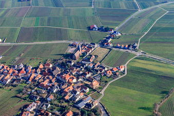 Weinstraße mit Pfarrkirche Maria Heimsuchung in Burrweiler im Bundesland Rheinland-Pfalz, Deutschland
