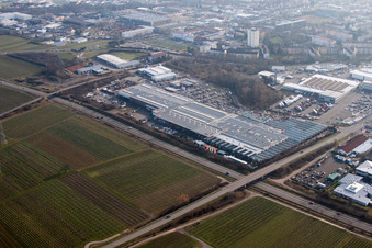 Landau Nord in Landau in der Pfalz im Bundesland Rheinland-Pfalz, Deutschland aus der Vogelperspektive