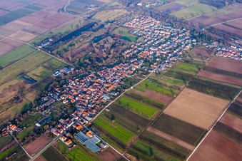 Schrägluftbild von Dorf - Ansicht am Rande von landwirtschaftlichen Feldern und Nutzflächen in Winden im Bundesland Rheinland-Pfalz, Deutschland