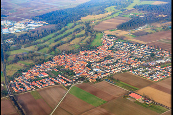 Dorfübersicht im Winter aus Süden in Steinweiler im Bundesland Rheinland-Pfalz, Deutschland
