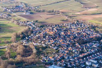 Ortsansicht der Straßen und Häuser der Wohngebiete im Ortsteil Ingenheim in Billigheim-Ingenheim im Bundesland Rheinland-Pfalz, Deutschland vom Flugzeug aus