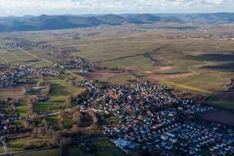 Ortsansicht der Straßen und Häuser der Wohngebiete im Ortsteil Ingenheim in Billigheim-Ingenheim im Bundesland Rheinland-Pfalz, Deutschland aus der Vogelperspektive