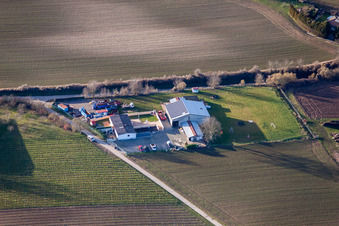 Ortsteil Ingenheim in Billigheim-Ingenheim im Bundesland Rheinland-Pfalz, Deutschland von oben