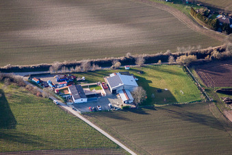 Ortsteil Ingenheim in Billigheim-Ingenheim im Bundesland Rheinland-Pfalz, Deutschland aus der Luft
