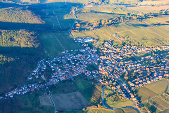Luftbild von Winzerort im Winter aus Südwesten in Oberotterbach im Bundesland Rheinland-Pfalz, Deutschland