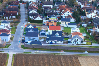 Neubaugebiet im Holderbusch aus Norden in Minfeld im Bundesland Rheinland-Pfalz, Deutschland von oben