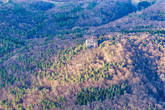 Kletterfels in Waldhambach im Bundesland Rheinland-Pfalz, Deutschland