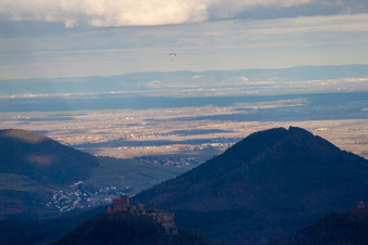 Luftbild von Trifels und Hohenberg in Birkweiler im Bundesland Rheinland-Pfalz, Deutschland