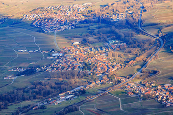 Luftbild von Ortsansicht im Winter aus Westen in Siebeldingen im Bundesland Rheinland-Pfalz, Deutschland
