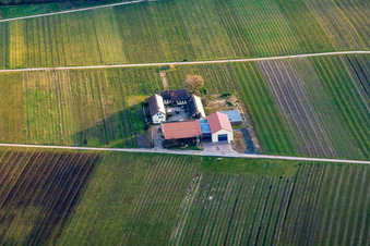 Weingut Erlenwein im Wacholderhof im Winter in Ilbesheim bei Landau im Bundesland Rheinland-Pfalz, Deutschland