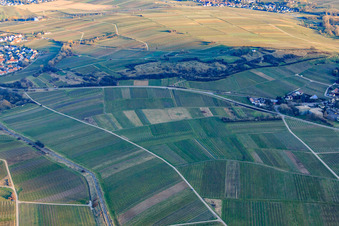 Naturschutzgebiet Kleine Kalmit im Winter aus Nordwesten in Ilbesheim bei Landau im Bundesland Rheinland-Pfalz, Deutschland