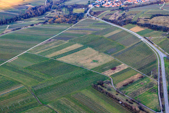 Luftbild von Gerodeter Weinberg in Ilbesheim bei Landau im Bundesland Rheinland-Pfalz, Deutschland