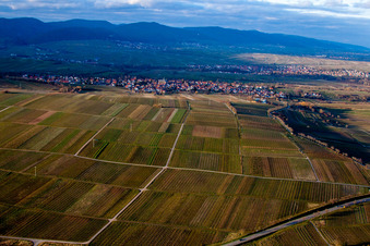 Arzheim von Süden in Landau in der Pfalz im Bundesland Rheinland-Pfalz, Deutschland