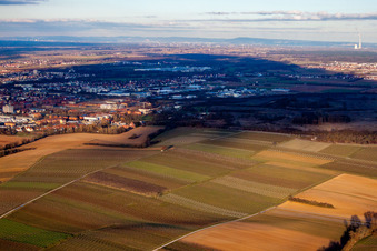 Drohnenaufname von Landau von Westen in Landau in der Pfalz im Bundesland Rheinland-Pfalz, Deutschland