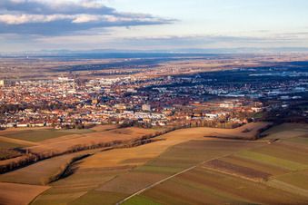 Drohnenbild von Landau von Westen in Landau in der Pfalz im Bundesland Rheinland-Pfalz, Deutschland