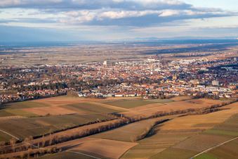 Landau von Westen in Landau in der Pfalz im Bundesland Rheinland-Pfalz, Deutschland aus der Drohnenperspektive