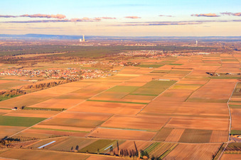 Rheinebene im Winter in Ottersheim bei Landau im Bundesland Rheinland-Pfalz, Deutschland