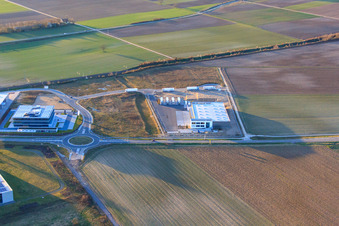 Schrägluftbild von TRANSAC Intern. Speditionsgesellschaft mbH im Gewerbegebiet Im Speyerer Tal in Rülzheim im Bundesland Rheinland-Pfalz, Deutschland