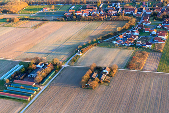 Buchenhof in Herxheimweyher im Bundesland Rheinland-Pfalz, Deutschland