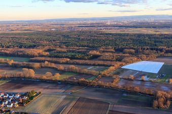 Bienwald am Klingbach, Rottenbach und Saugraben in Herxheim bei Landau im Bundesland Rheinland-Pfalz, Deutschland