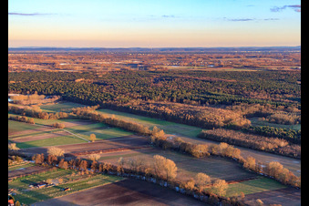 Luftbild von Modellsportplatz in Rülzheim im Bundesland Rheinland-Pfalz, Deutschland